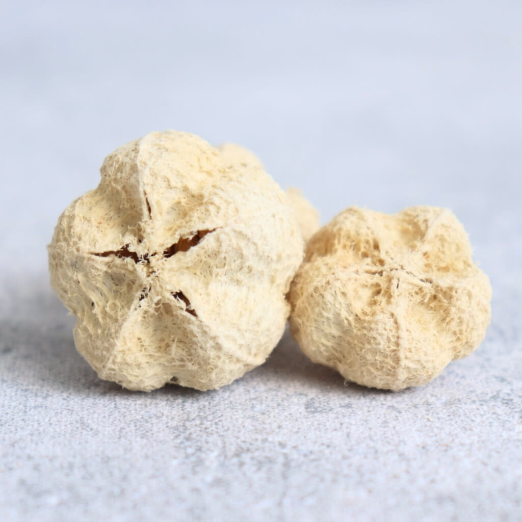 Bělené sušené plody Paras – přírodní dekorace pro rustikální a sezónní aranžmá